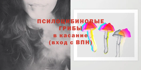 соль ск Дрезна