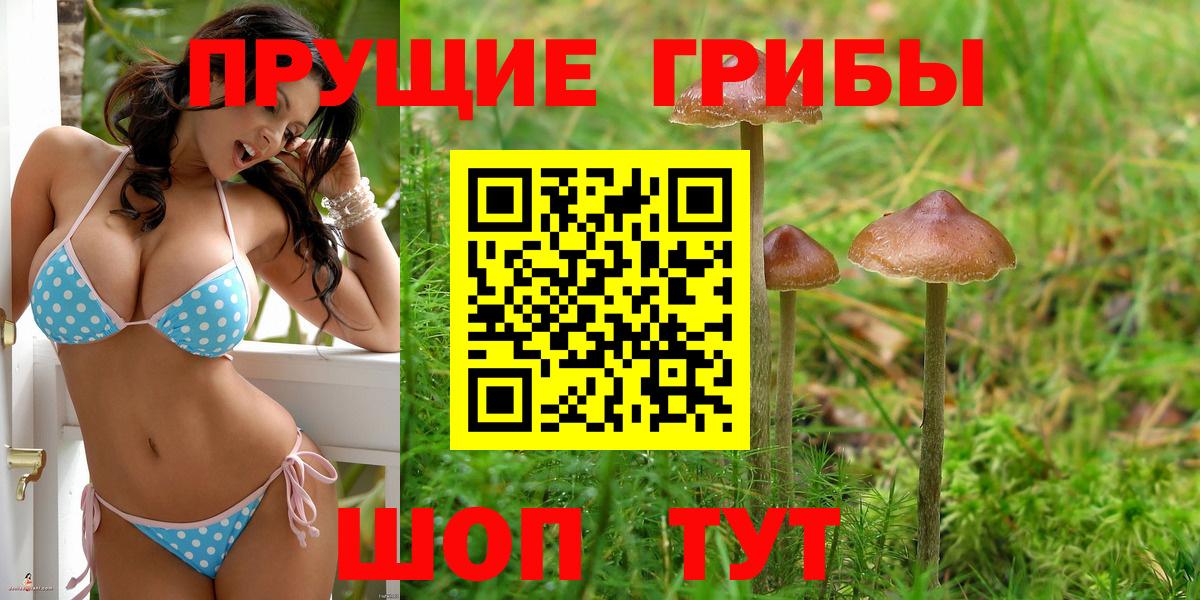 Псилоцибиновые грибы GOLDEN TEACHER  Вход с VPN  Галлюциногенные грибы Psilocybine cubensis  Славгород 