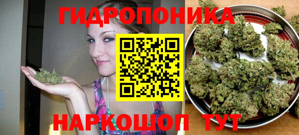 Бошки Шишки VHQ Славгород